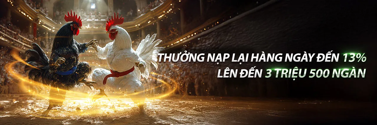 Đấu trường đá gà kịch tính tại 77 Ball Đăng Nhập